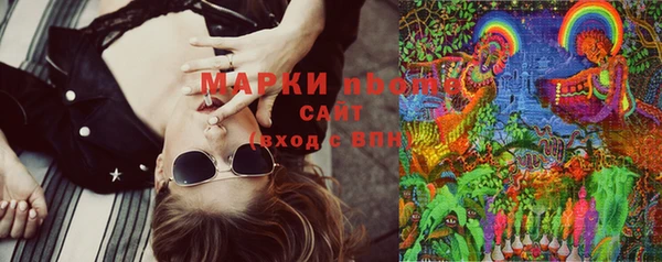 соль ск Белокуриха