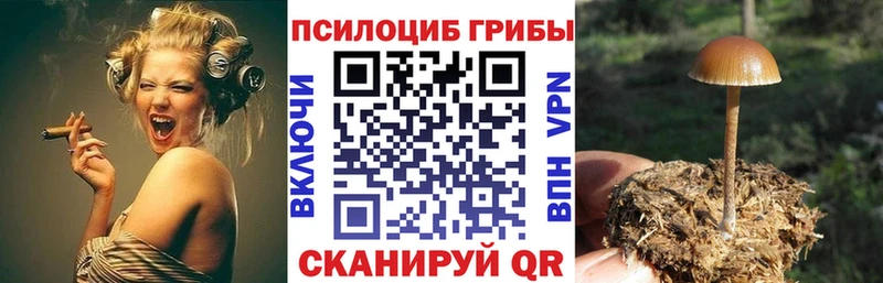 Псилоцибиновые грибы Magic Shrooms  mega tor  Ершов 