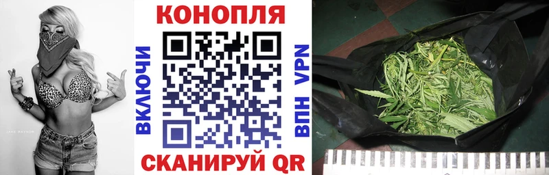 Бошки Шишки Bruce Banner  OMG вход  darknet формула  Ершов 